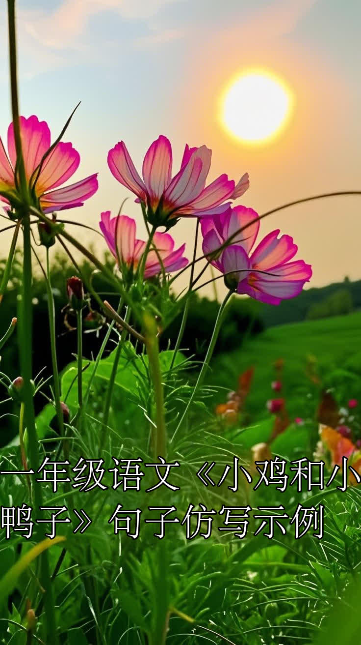 一年级语文《小鸡和小鸭子》句子仿写示例