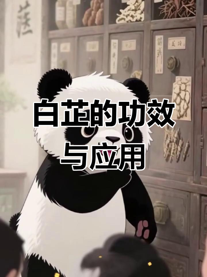 白芷的药用功效与临床应用,轻松记住这些作用