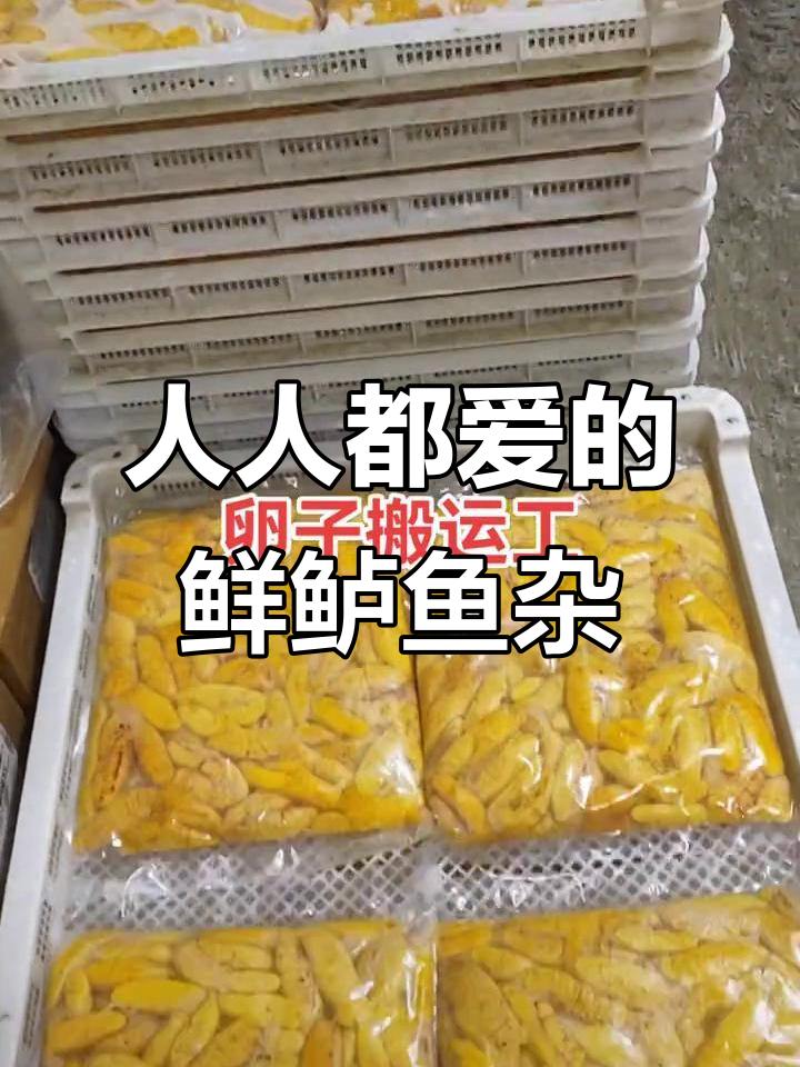 鲜鲈鱼籽与广东风味:为何人人爱这口美味?