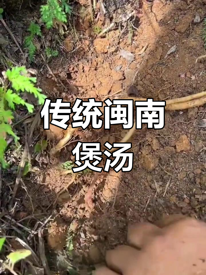 闽南古早味猪蹄排骨汤做法