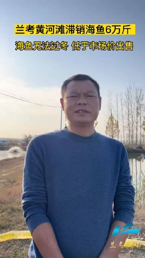 兰考6万斤合作社海鱼每斤20元 兰考县张庄鑫旺水产养殖合作社里,6万斤海鱼已经成长进入肥美