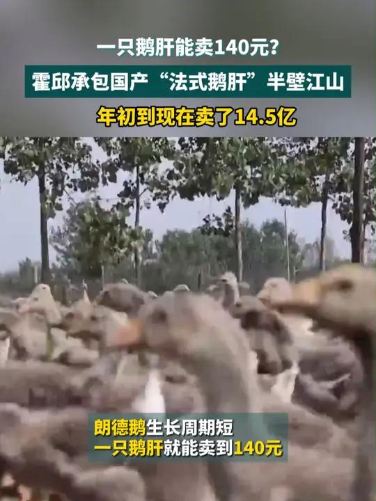一只鹅肝能卖140元?霍邱承包国产“法式鹅肝”半壁江山!年初到现在卖了14.5亿 霍邱鹅肝