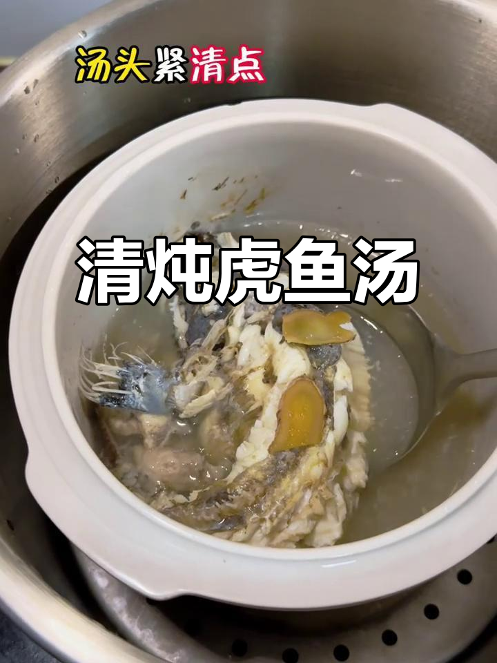 闽南清炖虎鱼，汤鲜味美又营养