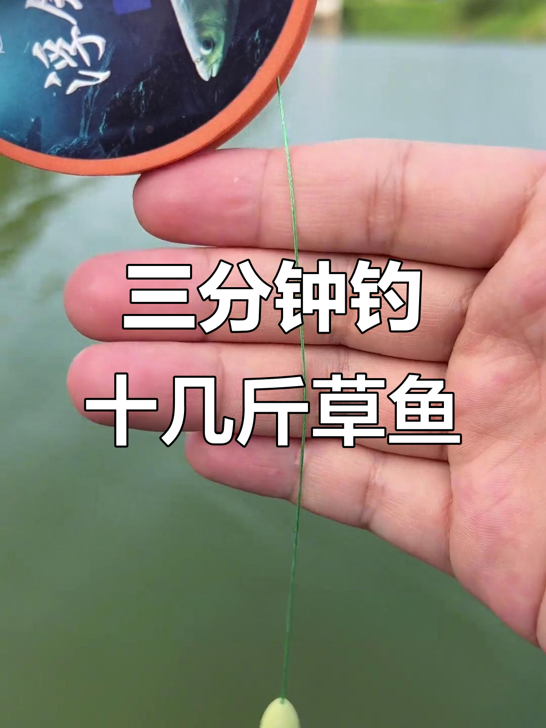 浮钓草鱼新技巧，三分钟种获大草鱼！