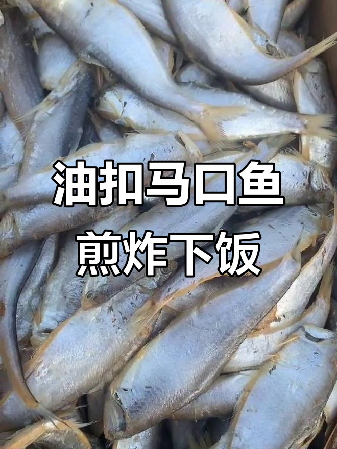 马口鱼自带油性,咸鱼泡制不咸煎炸更美味