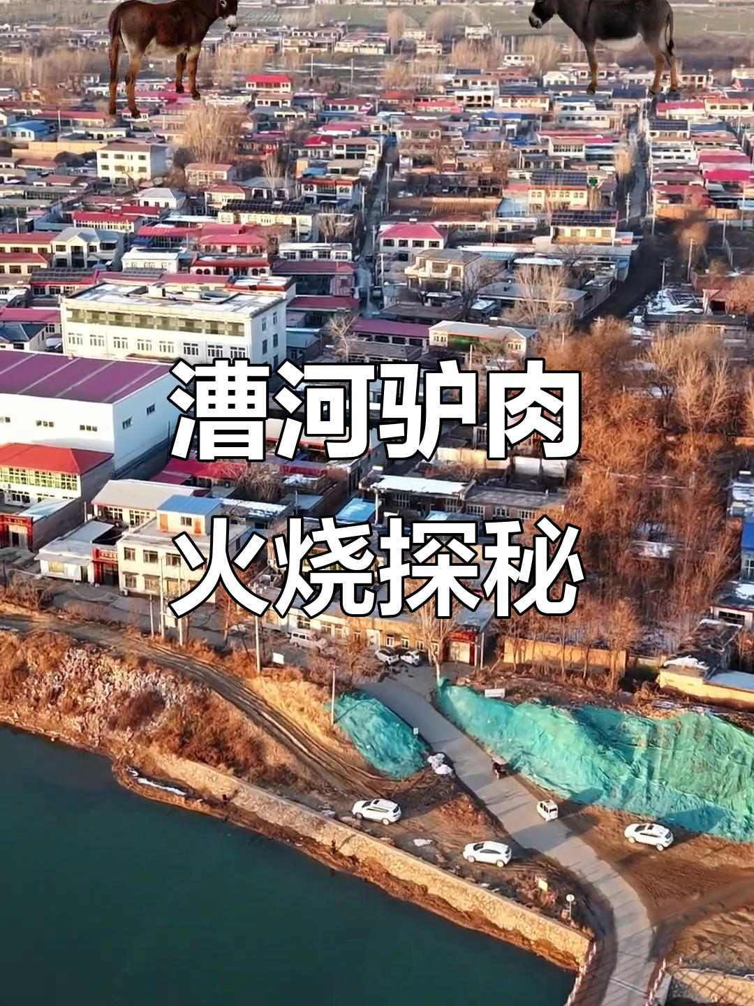 漕河驴肉火烧的真相:这些驴真的是漕河的吗?