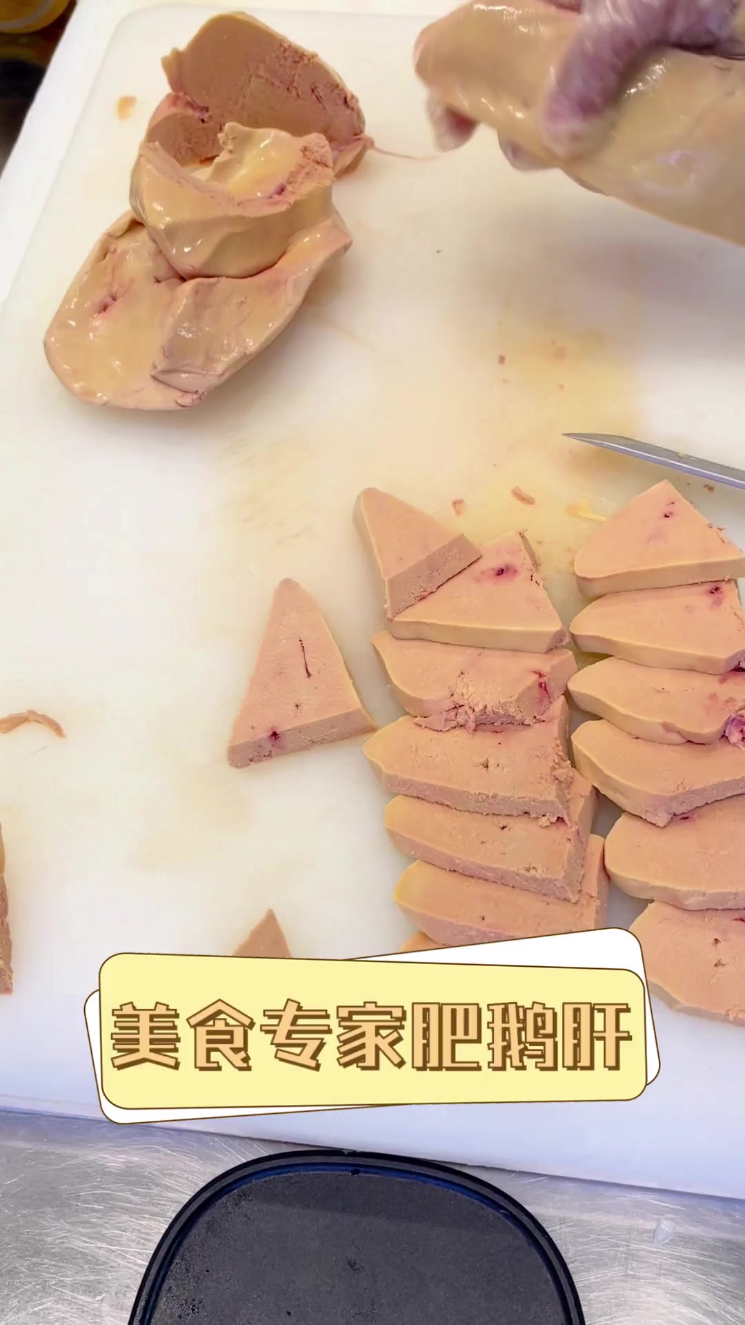 美食专家肥鹅肝