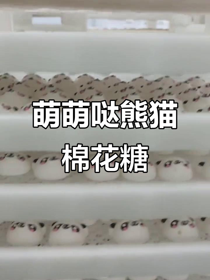 熊猫棉花糖大放送,萌力十足!