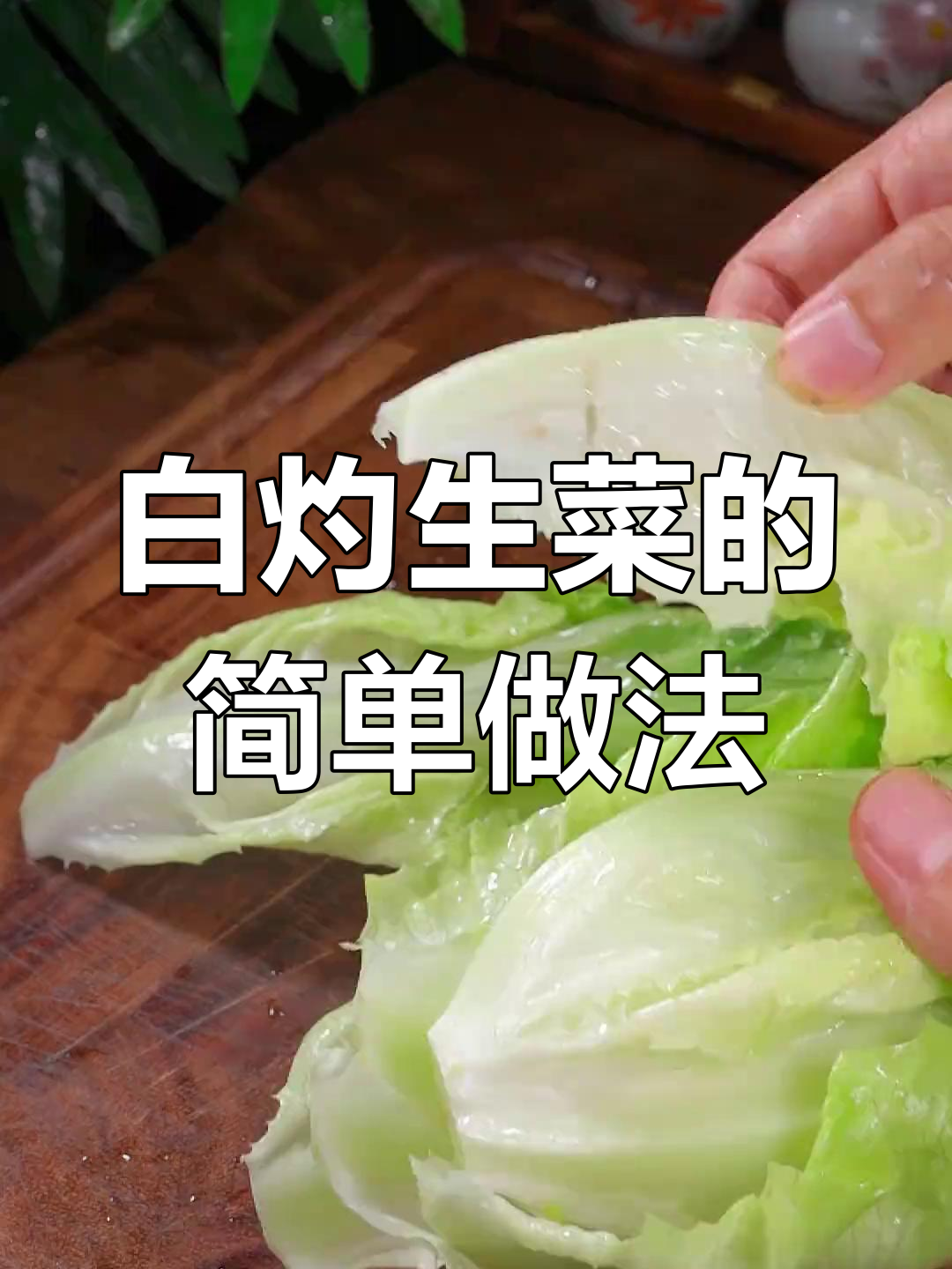 烫生菜比大鱼更美味,清脆又营养