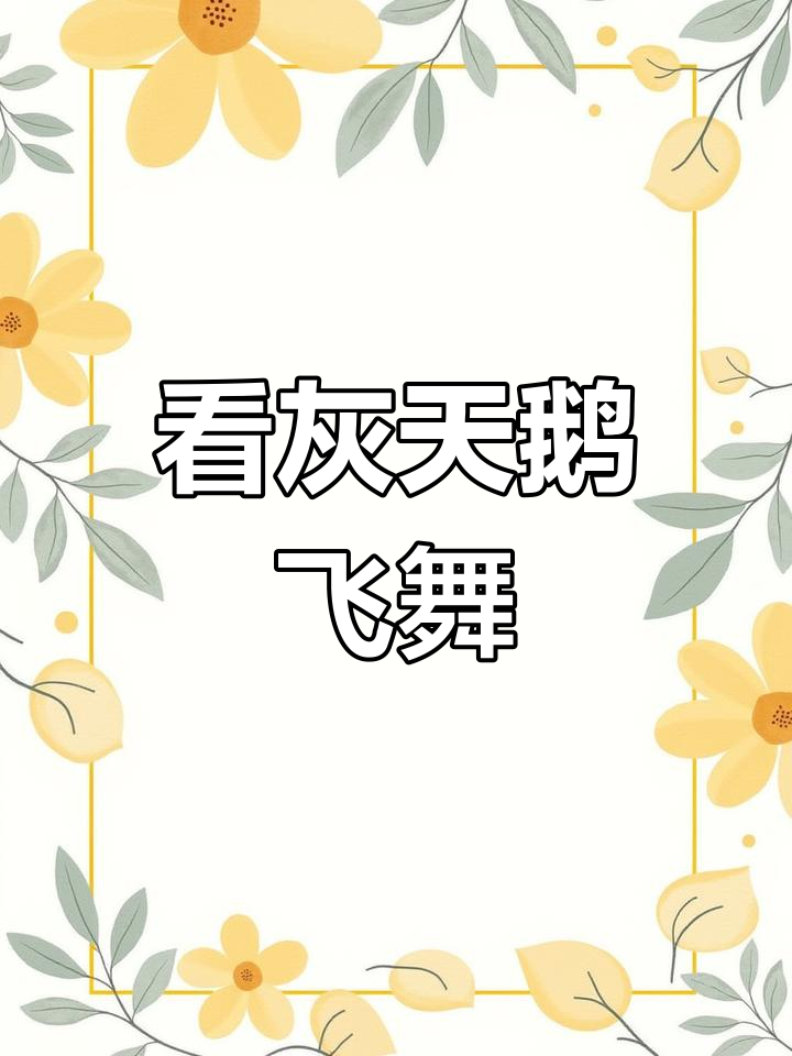 灰天鹅飞翔,带你身临其境感受自然之美