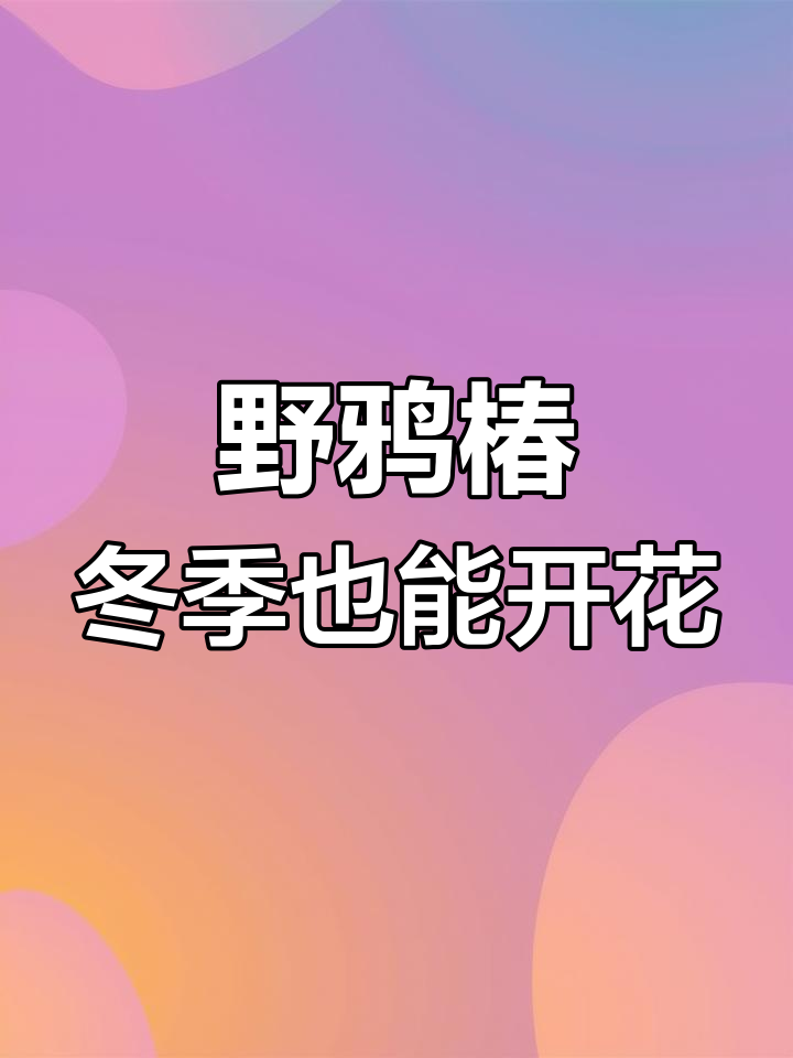 野鸦椿:美丽而耐寒的园林新宠,你见过吗?