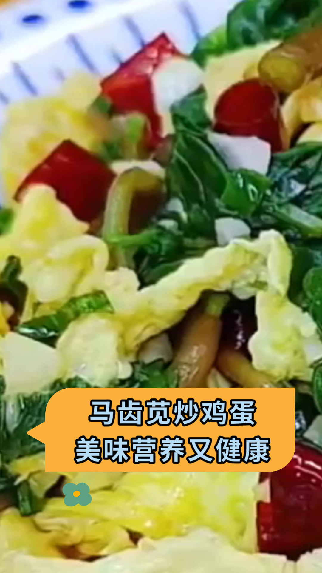 马齿苋炒鸡蛋美味营养又健康