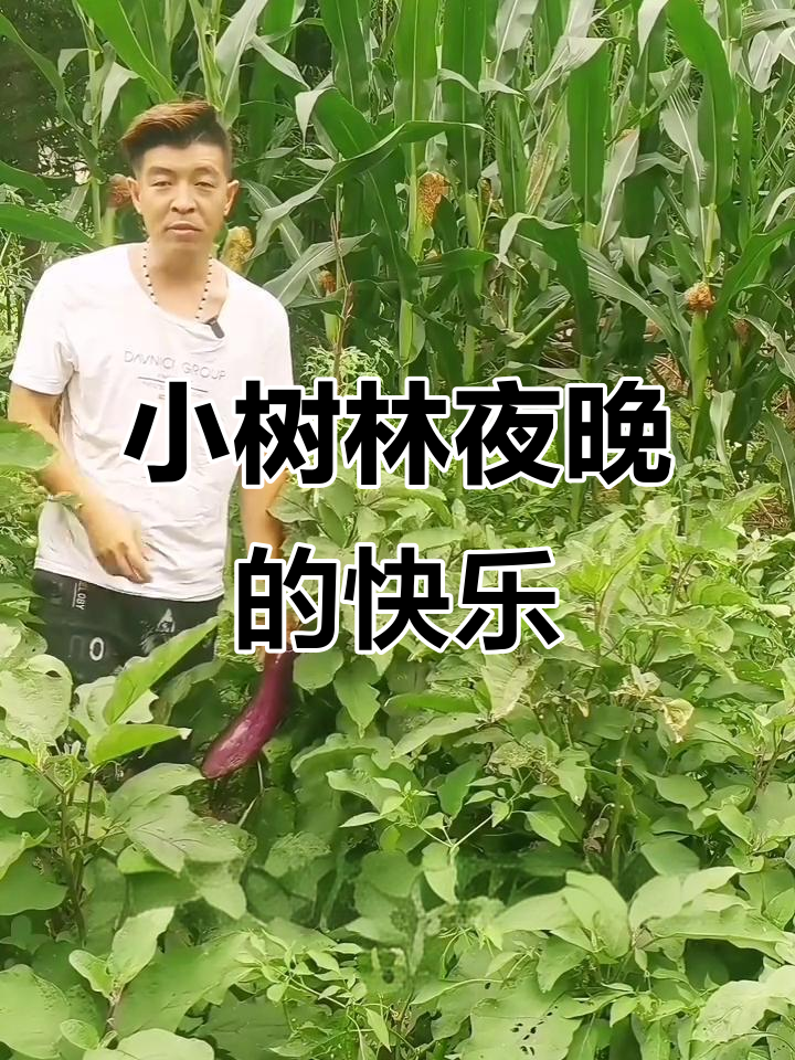农村小树林夜生活大揭秘,抓金蝉、捕鱼乐趣多