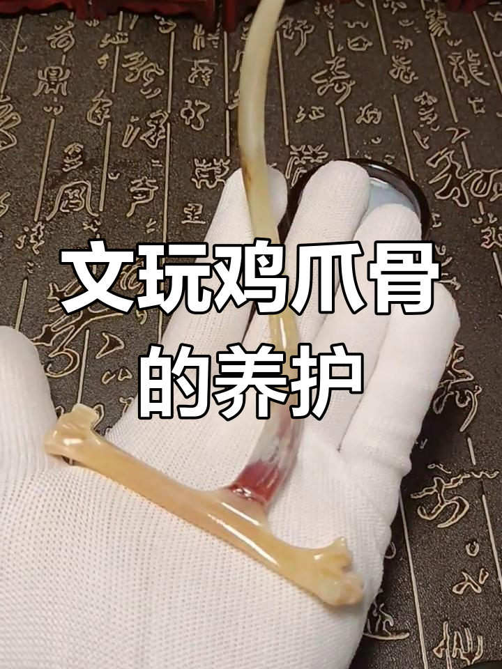 鸡爪骨包浆技巧:如何用骆驼油保养,避免脱粉