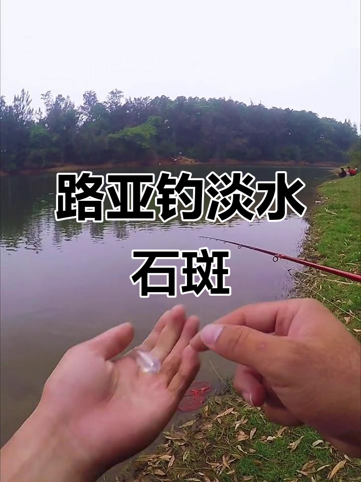 淡水石斑鱼路亚钓，小锚钩子选不停