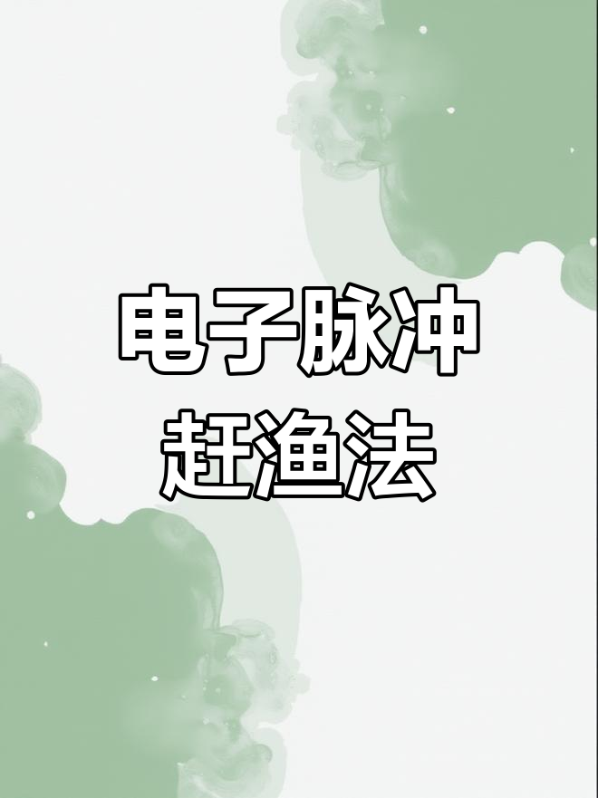 网电结合赶鱼机,高效捕捞技巧全解析