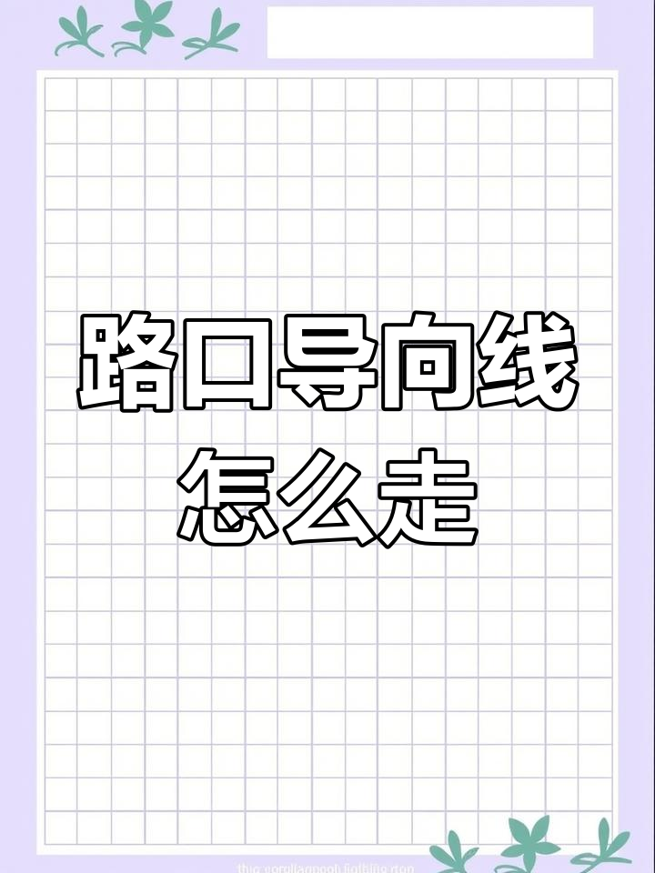 路口导向线如何正确行驶?黄色与白色有何区别