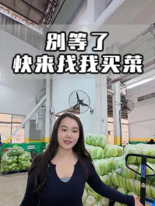 蔬菜肉类,粮油米面都有,满200配送上门,还不来找我买菜吗