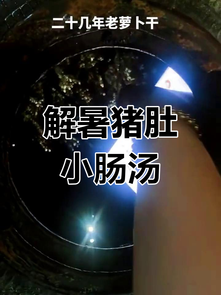 夏季解暑汤,猪肚小肠降火养胃