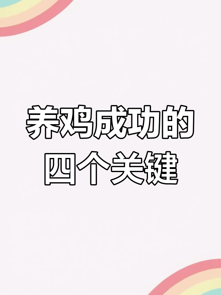 蛋鸡养殖四大支柱:选对苗、喂好料,管理到位