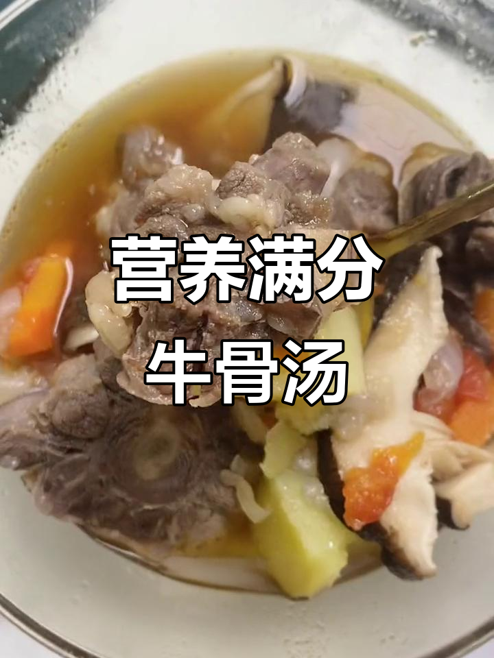 番茄牛尾汤,营养丰富,肉嫩不腥,孩子长身体必备!