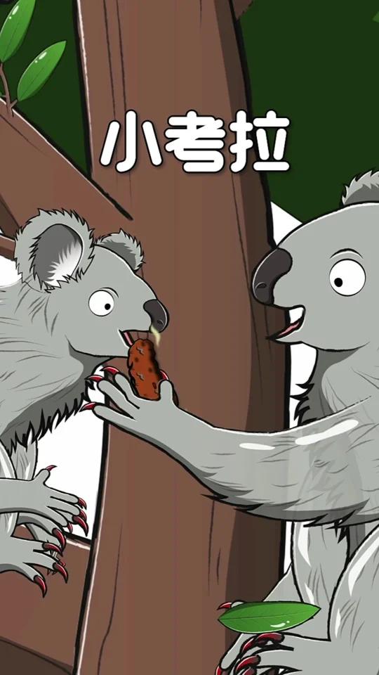 你知道可爱的考拉是吃什么长大的吗?