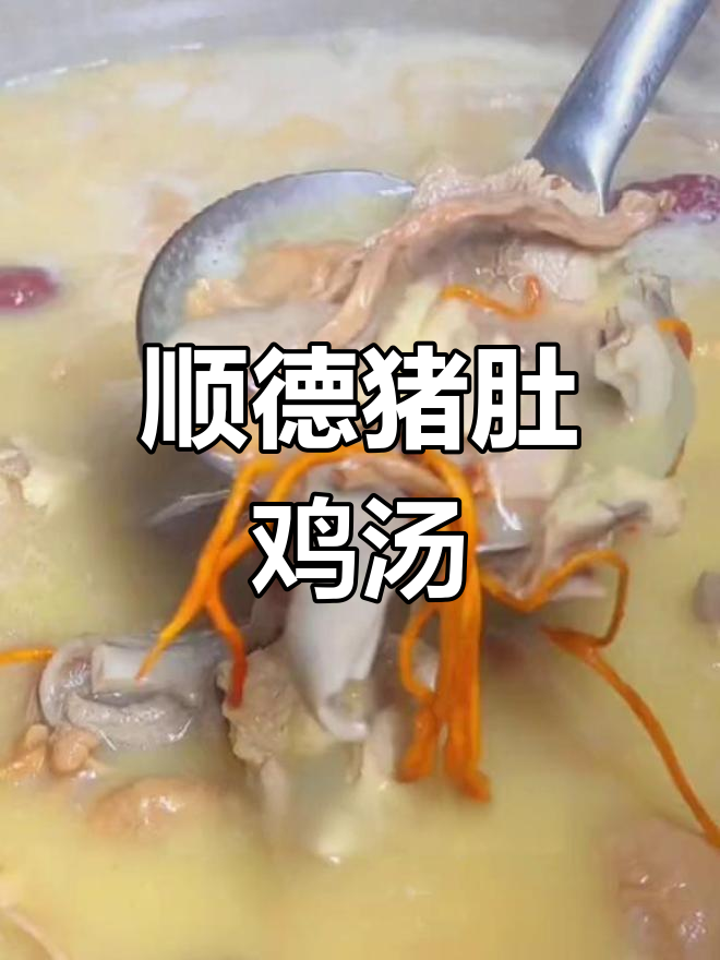 顺德公猪肚鸡,汤鲜肉嫩,滋补美味