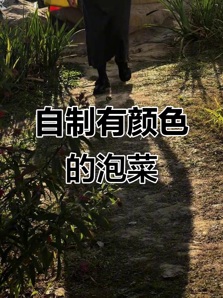 酸萝卜泡菜,开胃又下饭!四川风味来袭