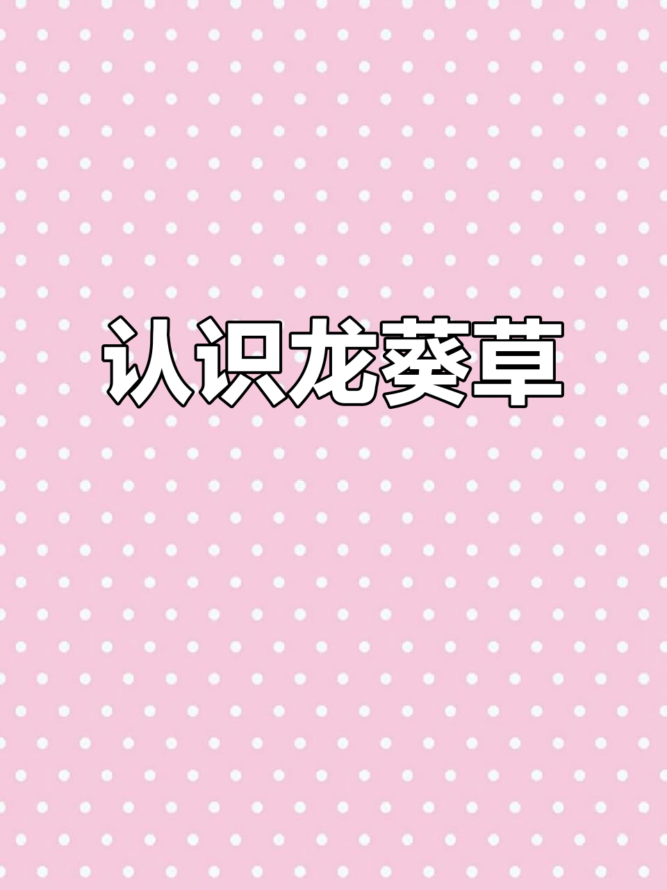龙葵草:从杂草到宝贝,了解这种神奇植物