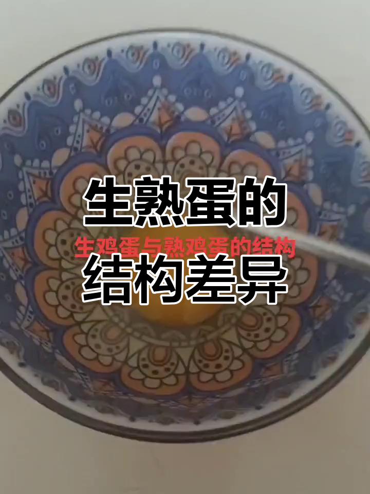 鸡蛋内部结构大揭秘：从卵黄到软壳的每一层
