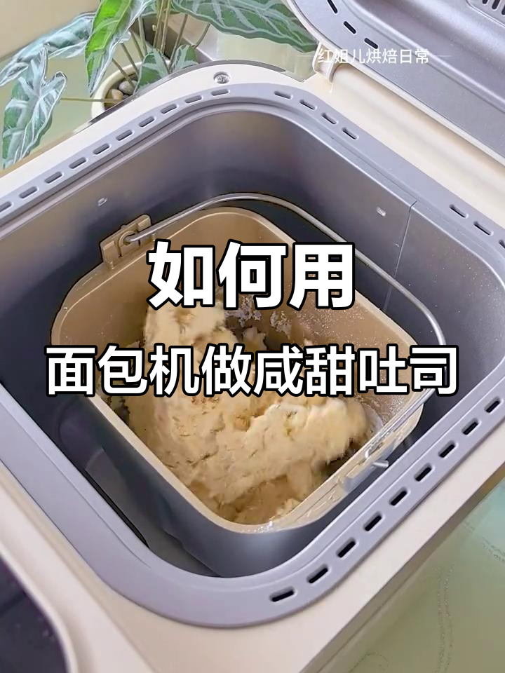 面包机闲置?教你做咸甜口吐司,轻松搞定!