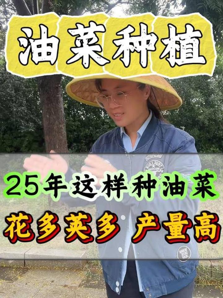 这样种油菜,花多荚多,轻松实现高产!