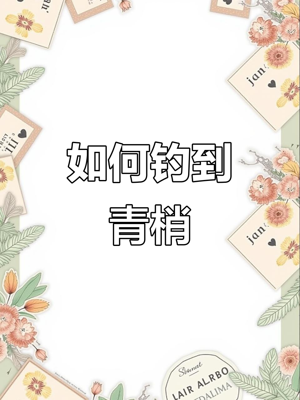 青稍鱼习性揭秘：如何找到它们的聚集地