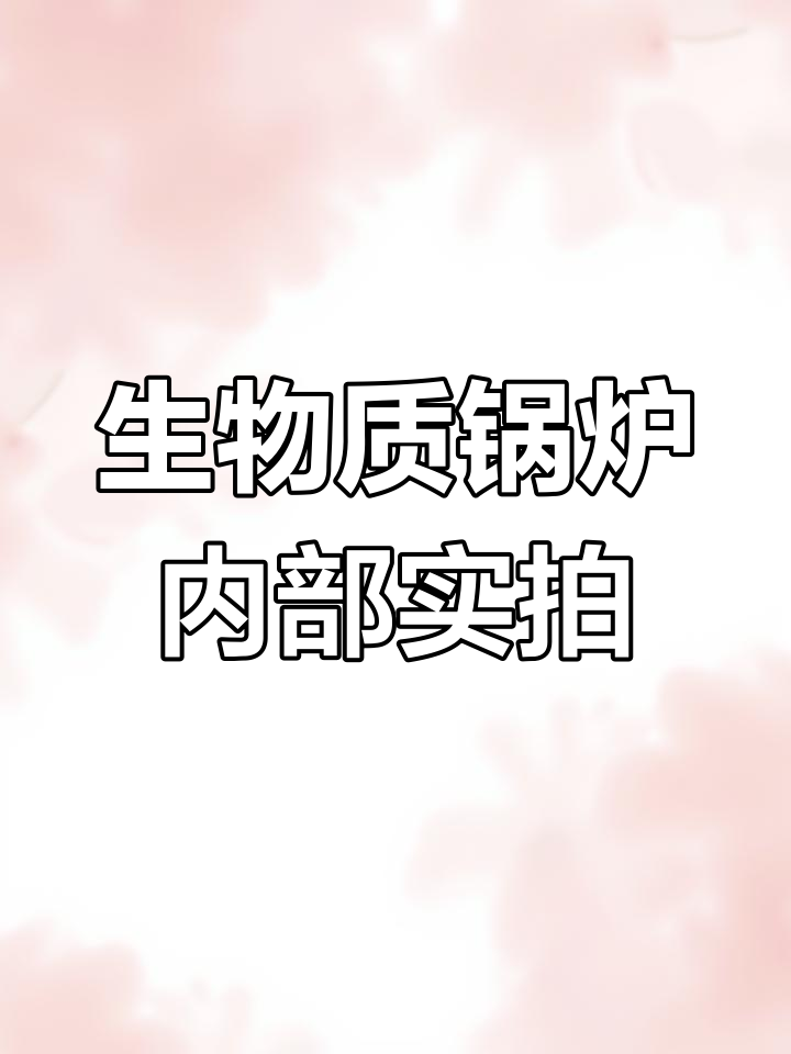 走进生物质蒸汽锅炉工厂,揭秘内部结构与工作原理