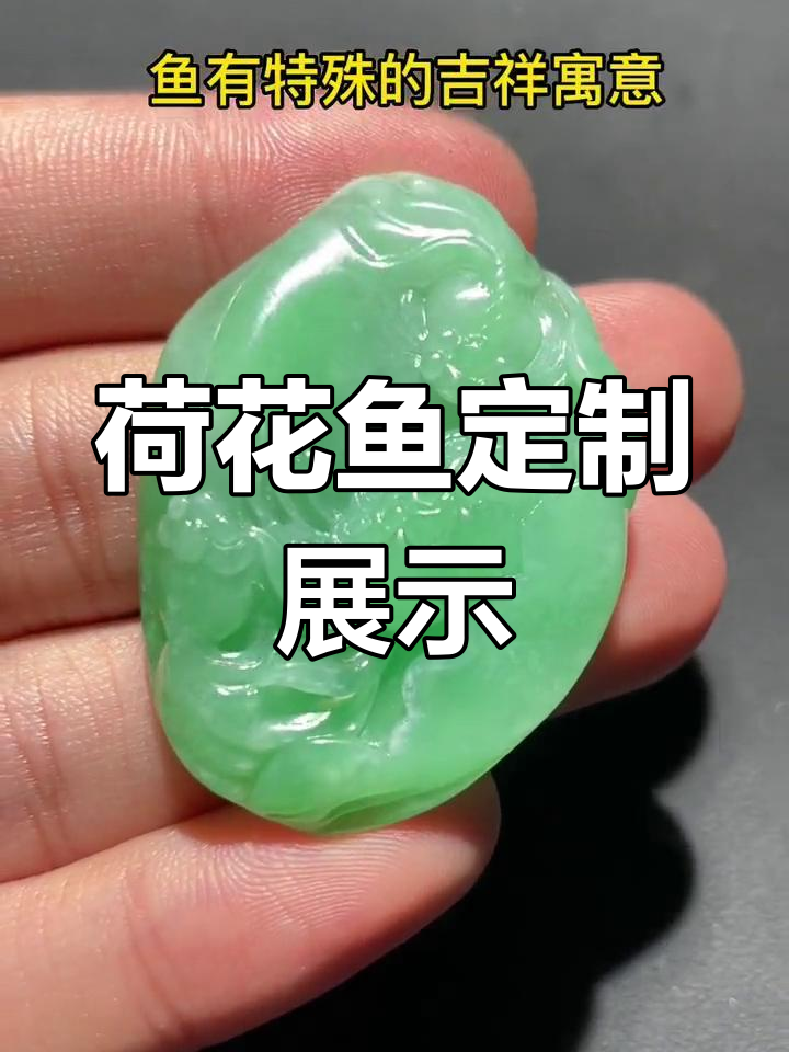 荷花鱼展示:粉丝定制的独特艺术作品