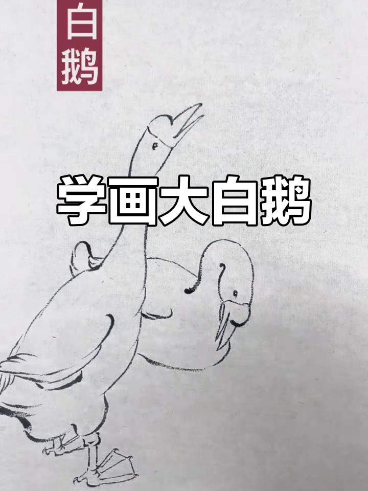 初学者必学国画白鹅,掌握细节轻松上手