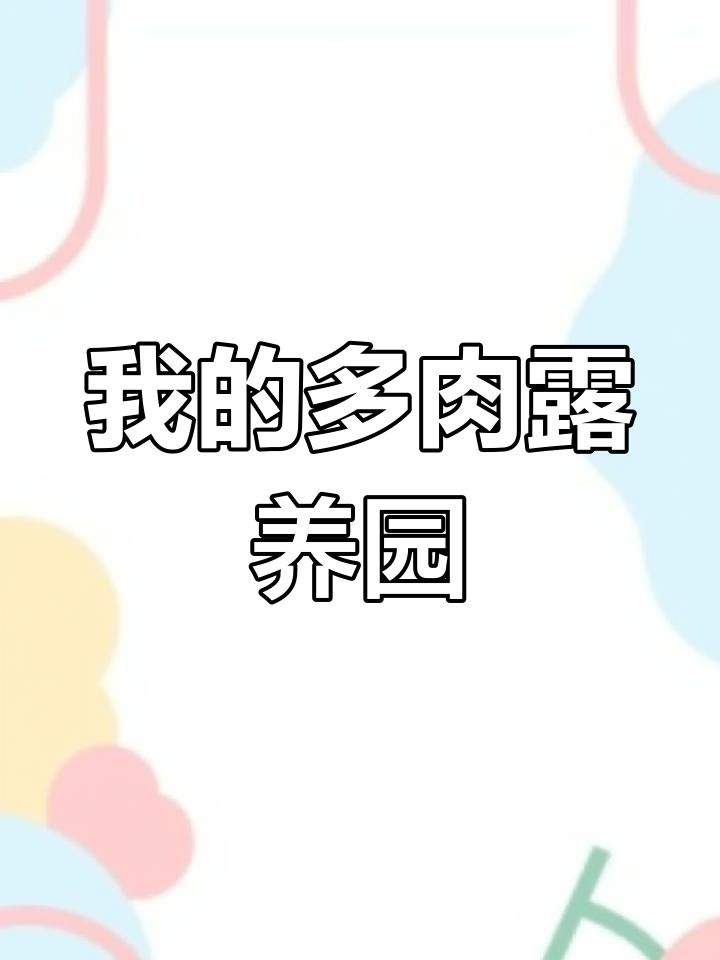 阳台多肉花园,露养更健康