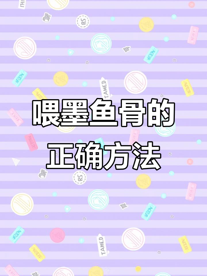如何正确喂墨鱼骨给鹦鹉?避免硬面伤鸟