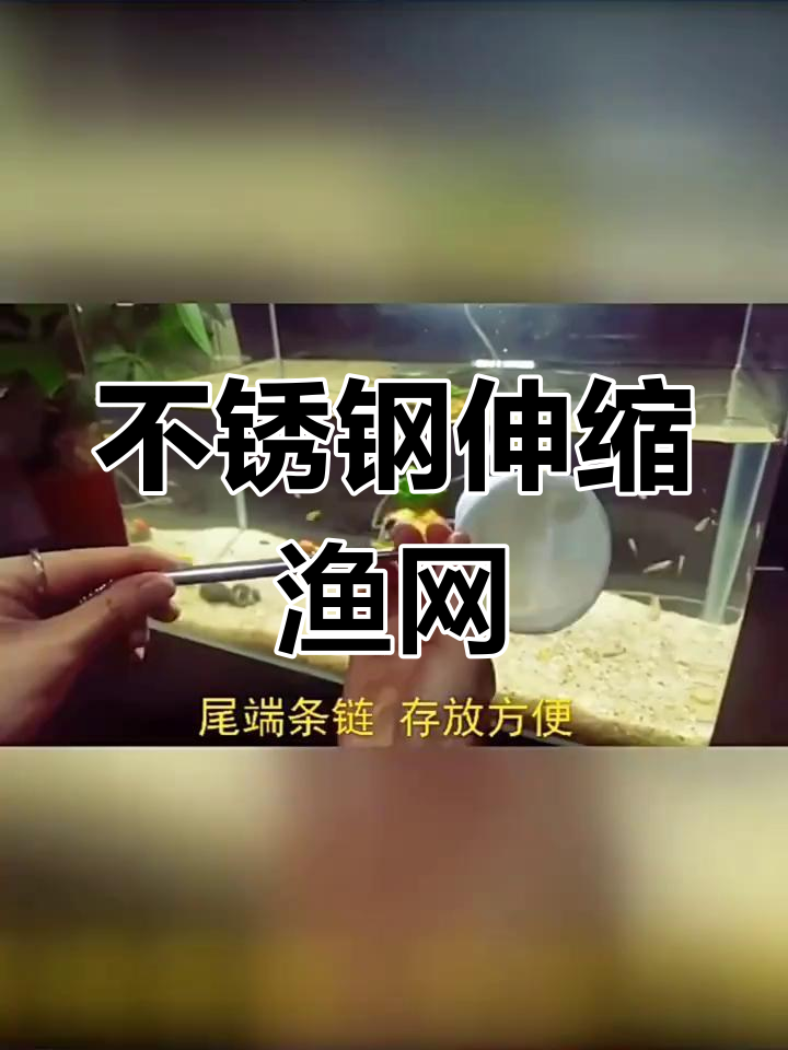 小型鱼缸专用不锈钢伸缩捞网 适合孔雀斗鱼等观赏鱼类