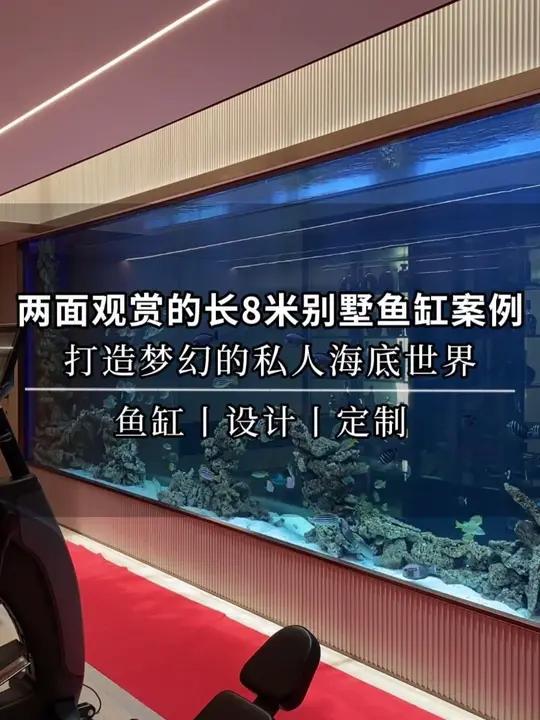两面观赏的长8米别墅鱼缸案例,打造梦幻的私人水族馆