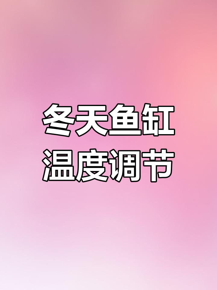冬季养鱼水温设置指南:28度最合适