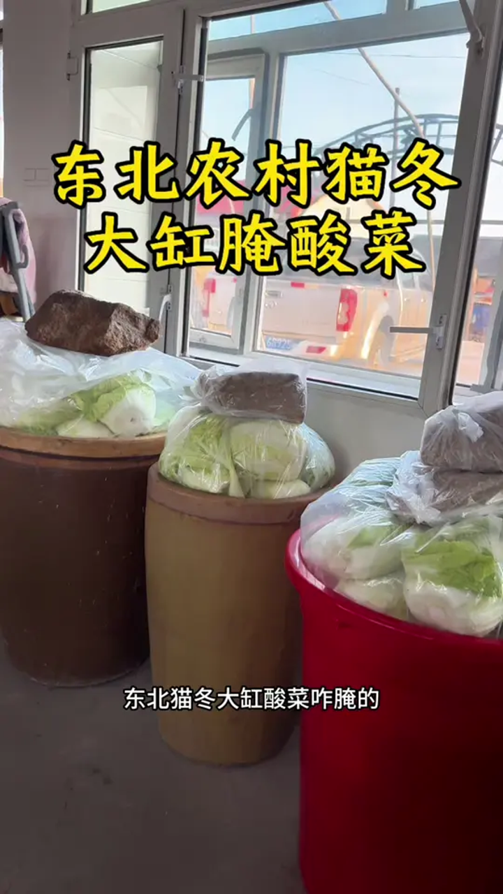 又到了东北家家户户腌酸菜的季节了,像我这样腌无水酸菜一颗不烂