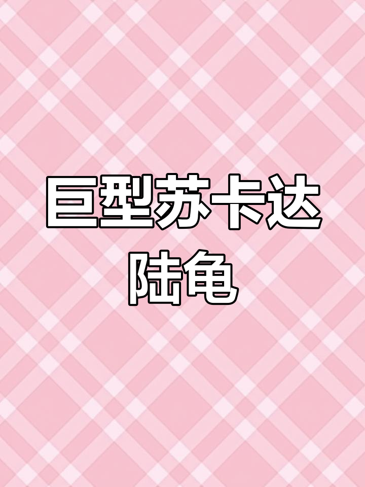 苏卡达陆龟:世界上最大的乌龟之一,成年后身躯惊人