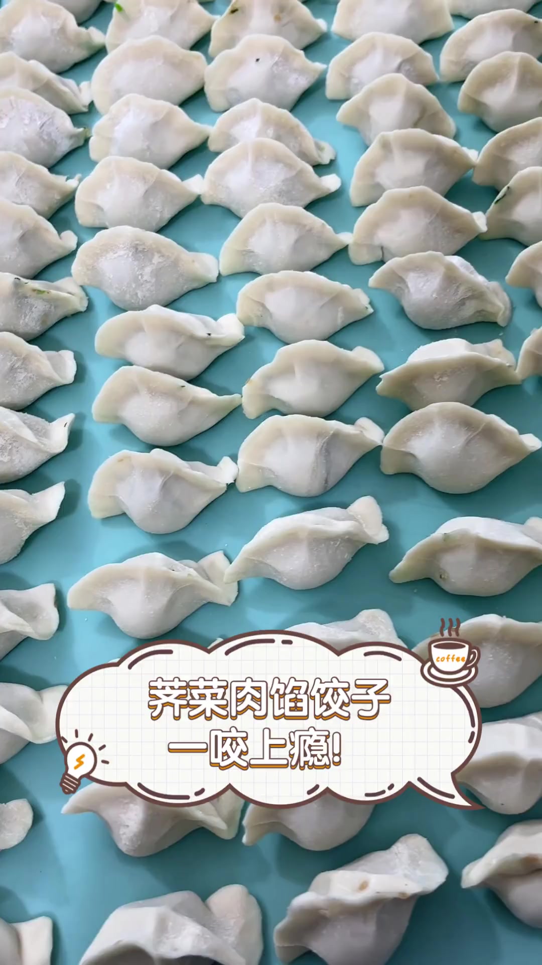 荠菜肉馅饺子,一咬上瘾!