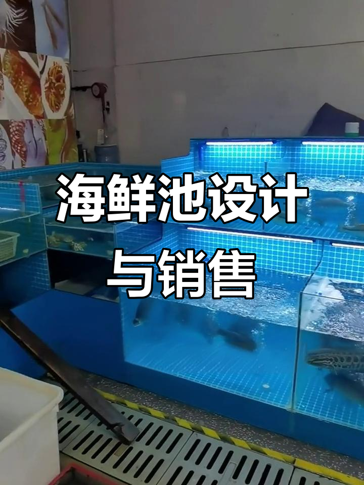 菜市场海鲜池设计,如何提升销量?