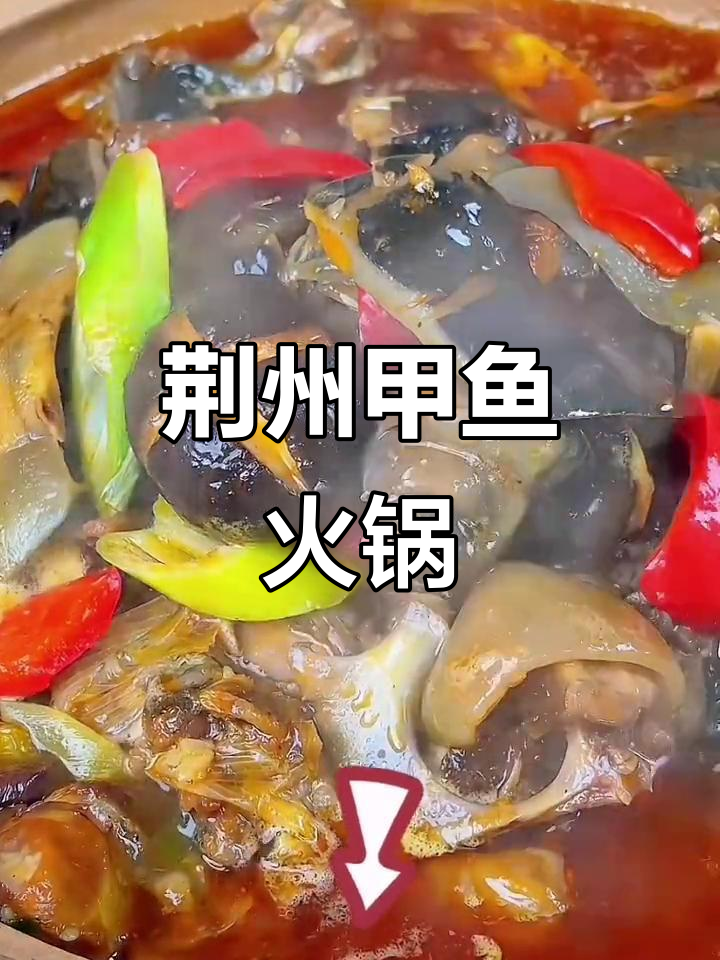 荆州冬季暖心甲鱼火锅,滋补养生必备美味