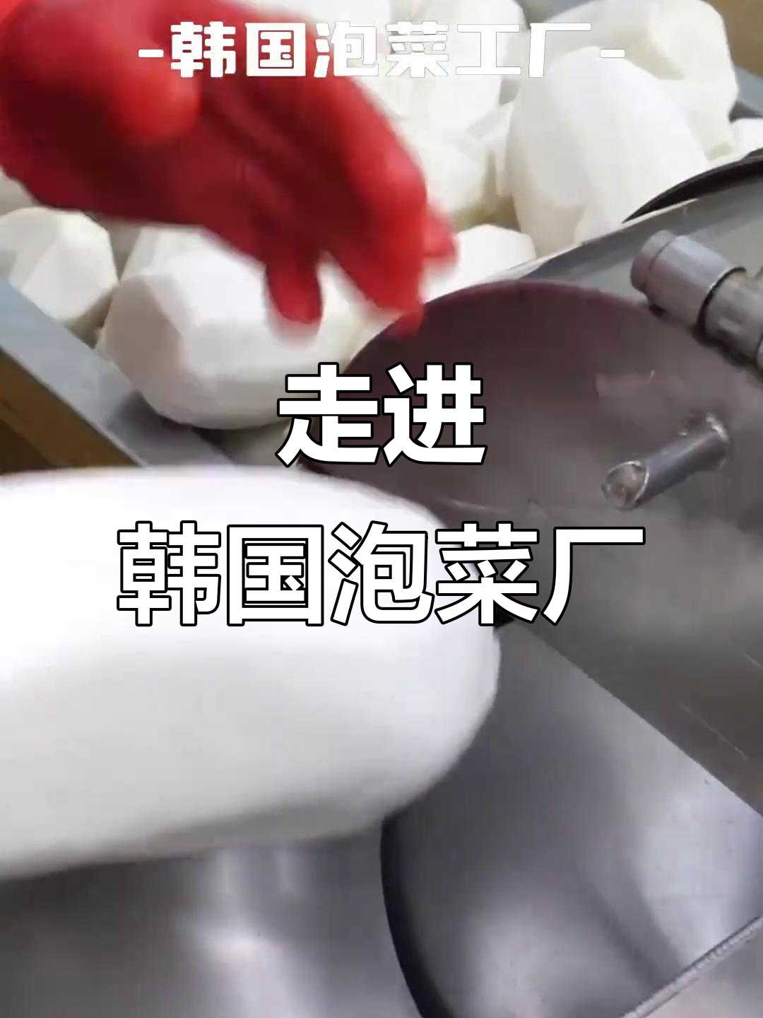 探访韩国泡菜工厂,揭秘正宗韩式泡菜的制作过程