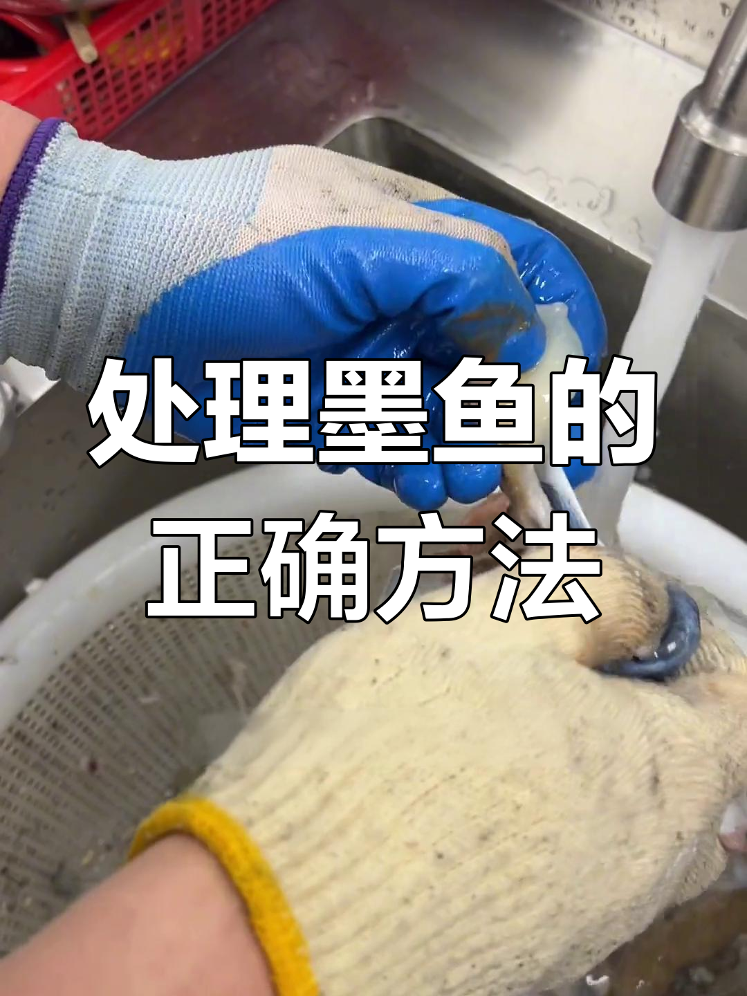 墨鱼粗加工全流程,教你保留美味