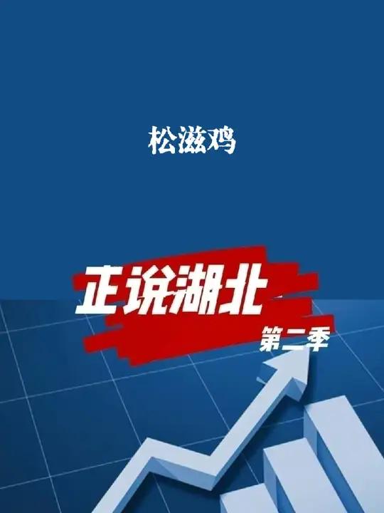 荆州一道菜,撑起了武汉一条街。湖北菜 荆州 武汉 华正说