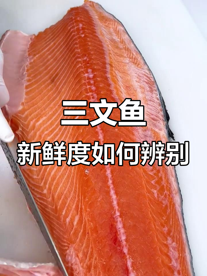 如何判断三文鱼是否新鲜?从颜色到质地的全方位检查